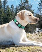 Joytale Airtag Dog Collar, Reflective Pet Collar - Image 8