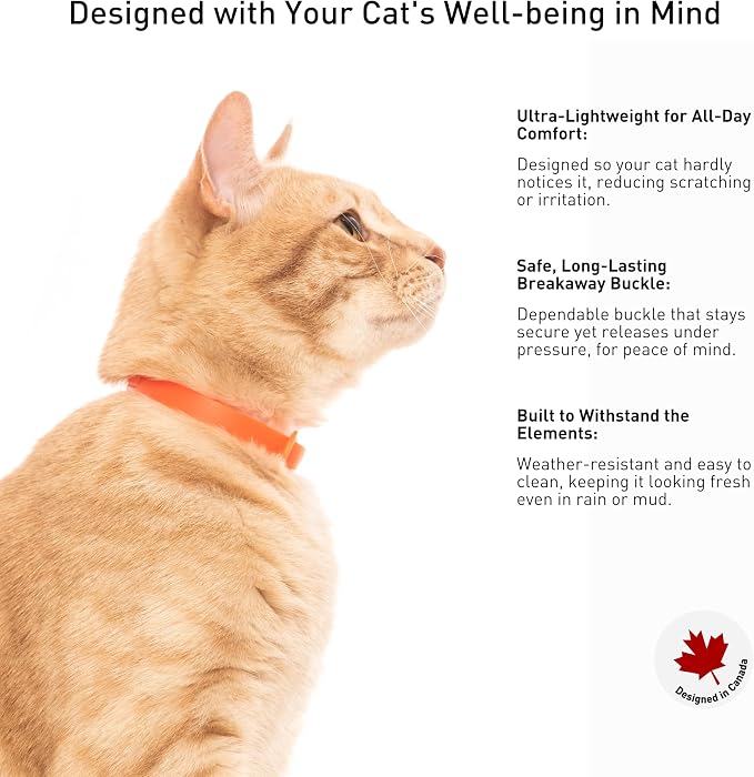 3 Pack Breakaway Cat Collar - Image 5