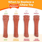 Nylabone Power Chew Classic Bone Chew Toy - Image 4