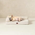 EHEYCIGA Orthopedic Dog Bed Medium Size Dogs, Memory Foam Dog Bed - Image 9