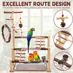 ‌Bird Playground, Natural Wooden Parrot Stand - Image 3