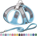 AIITLE Step in Dog Harness and Leash Set by AIITLE-FORPETSBETTERLIFE