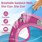 AIITLE Dog Harness, No-Pull Cat Harness - Image 8