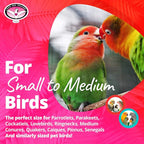 Super Bird Creations SB1083 Binky Bop Bird Toy - Image 3