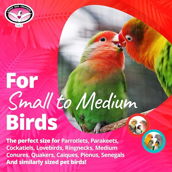 Super Bird Creations SB1083 Binky Bop Bird Toy - Image 3