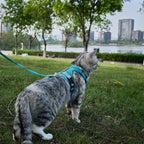Cat Harness and Leash Escape Proof Extra Large Kitten Harness Maine Coon Cat - Image 2