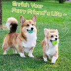 HIPPIH Dog Puzzle Toy 2 Pack, Interactive Dog Toys - Image 6