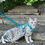 Cat Harness and Leash Escape Proof Small Kitten Harness Abyssinian Cat Vest - Image 8
