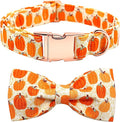 Dog Collar - Halloween Pumpkin Bowtie Dog Collars Gift Soft Bow Collar Pet by BoboRainbow