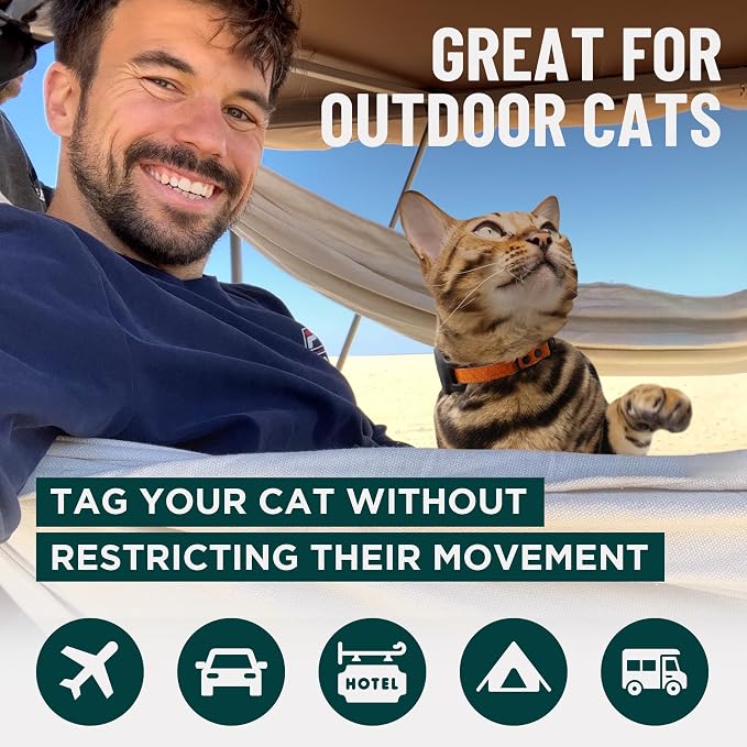 OutdoorBengal Black Breakaway Kitten Collar - Image 8