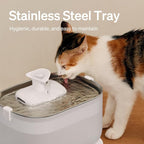 PETLIBRO Cat Water Fountain + PETLIBRO Genuine 4 Packs Filters, Cat Fountain - Image 4