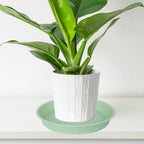 2 Pack of Bird Bath Bowl 12", 1.6" Depth, 10 12 inch Birdbath Bowls Dish Only - Image 5