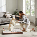 WESTERN HOME WH Medium Dog Bed for Medium Size Dogs, Orthopedic Pet Bed - Image 2