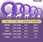 Puller Outdoor Dog Ring Toys - Image 6