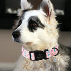 Christmas Dog Collar for Small Dogs - Image 3