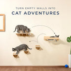 Space-Saving Cat Wall Shelves – Interactive Cat Wall Climber - Image 6