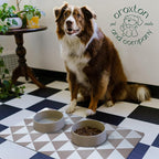 CROXTON & CO. Non-Slip Faux Leather Pet Feeding Mat - Image 6