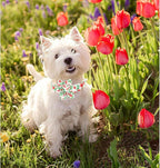 Lionheart glory Dog Collar Flowers Collar Floral Dog Collar - Image 3