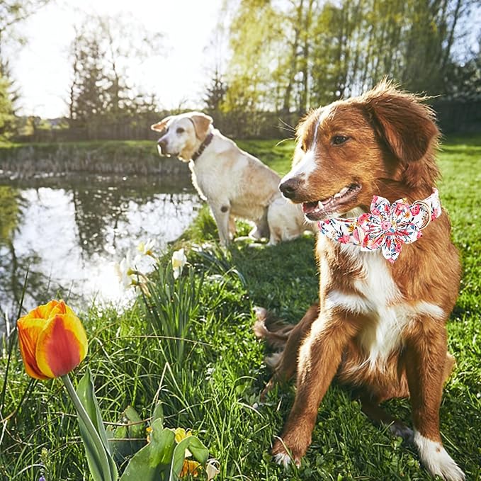 Lionheart glory Dog Collar Flowers Collar Floral Dog Collar - Image 4