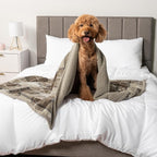 PetAmi Waterproof Dog Blanket for Medium Large Dog Puppy Cat Throw for Couch - Image 7