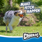 Chuckit! Ultra Ball Dog Toy - Image 5