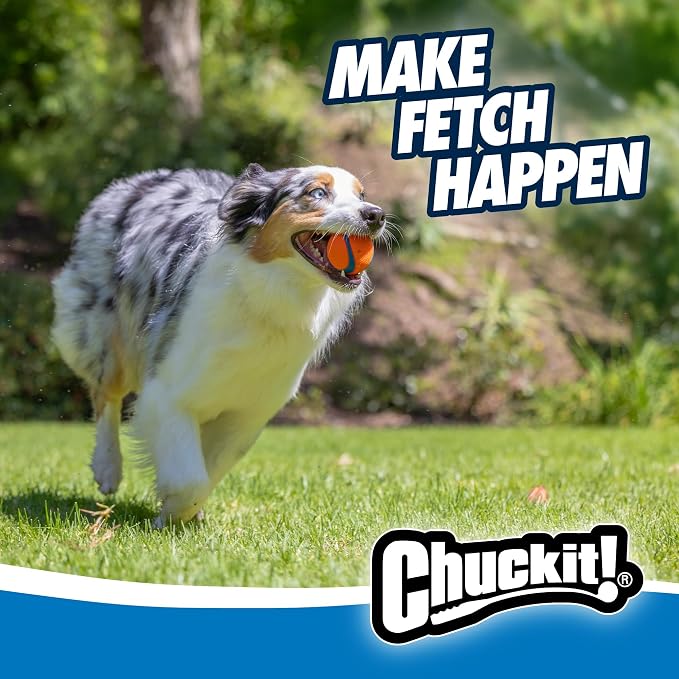 Chuckit! Ultra Ball Dog Toy - Image 7