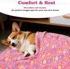 Puppy Supplies Starter Kit – Puppy Essentials and Dog Stuff Set - Image 7