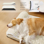 Orthopedic Dog Bed Large Sized Dog - Image 3