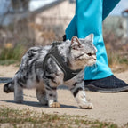 PetiFine Extra Small Step in Dog Harness and Leash Set, Cat Harness and Leash - Image 7