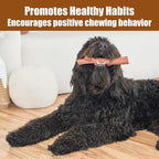 SPOT Bam-Bones Plus Branch -Bamboo Fiber & Nylon, Durable Long Lasting Dog Chew - Image 8