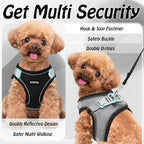 AIITLE Step in Dog Harness and Leash Set - Image 9