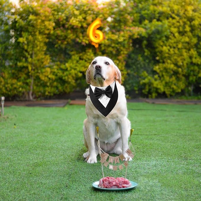 ADOGGYGO Formal Dog Tuxedo, Wedding Dog Bandana Collar - Image 4