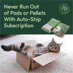 Purina Tidy Cats Litter Pellets, Breeze Refill Litter Pellets in Recyclable Box - Image 13