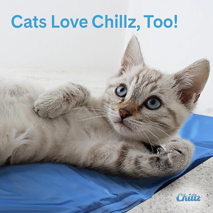 The Green Pet Shop Chillz Gel Mat, Medium - Image 6