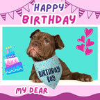 Birthday Boy Dog Bandanas 1 Pack, Pet Scarves - Image 3