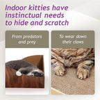 Hideaway Cat Scratcher Box for Indoor Cats - Image 4