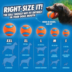 Chuckit! Ultra Ball Dog Toy - Image 3