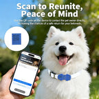 GPS Tracker for Dogs with Activity and Wellness Monitoring, Real-time Tracking - Image 3