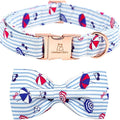 Lionheart glory Dog Collar by LionheartGlory