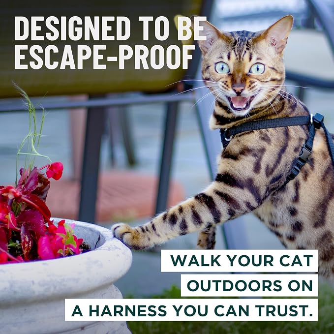 Houdini™ Escape Proof Cat Harness and Leash Set by OutdoorBengal – Tactical Vest - Image 2