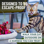 Houdini™ Escape Proof Kitten Harness and Leash Set by OutdoorBengal – Red - Image 2