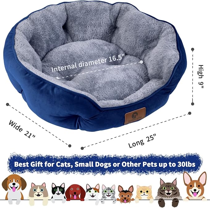 Asvin Medium Dog Bed for Medium Dogs, Large Cat Beds for Indoor Cats, Pet Bed - Image 3