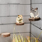 36 PCS Bird Perches Stand Toy, Natural Wood Parrot Perch Stand Bird Cage - Image 6