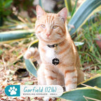 Ultra Joys Personalized Dog Tags - Image 4