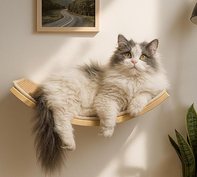 Curved Cat Wall Hammock with Scratchable Sisal Pad, Large Floating Cat Shelf by PELUOMOZ