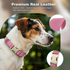 Plutus Pet Genuine Leather Dog Collar – Adjustable Pet Collar - Image 3