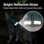 Cat Harness and Leash Escape Proof Small Kitten Harness Abyssinian Cat Vest - Image 6