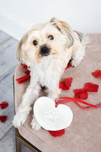 Pearhead Pet Paw Print Valentine’s Ornament Kit – Heart-Shaped Clay Pawprint - Image 3