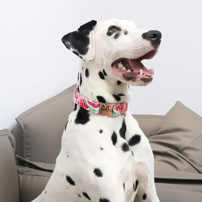 Unique style paws Dog Collar Metal Buckle Watermelon Collar Gift Durable Cute - Image 4
