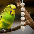 Bird Chewing Toy, Bird Sola Ball Toy - Image 3